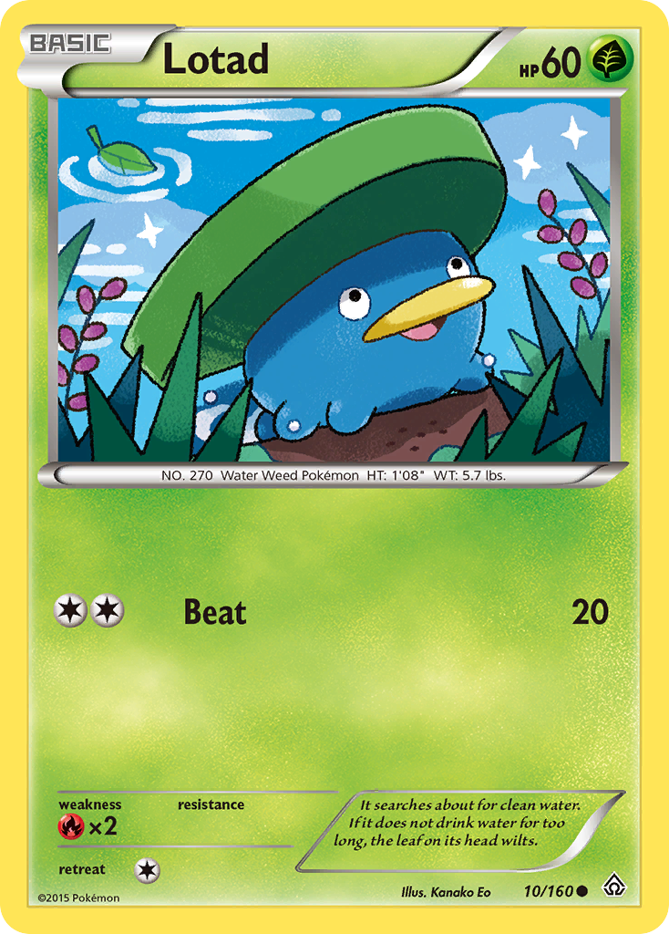 Lotad (10/160) [XY: Primal Clash] | KingTCG.ca