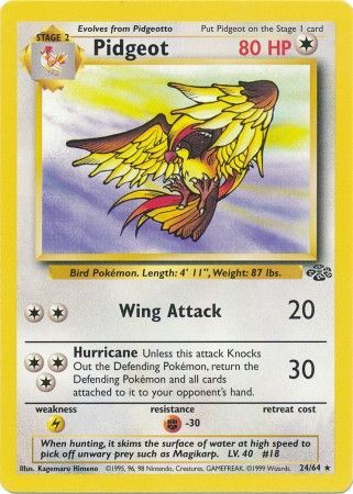 Pidgeot (24/64) [Jungle] | KingTCG.ca