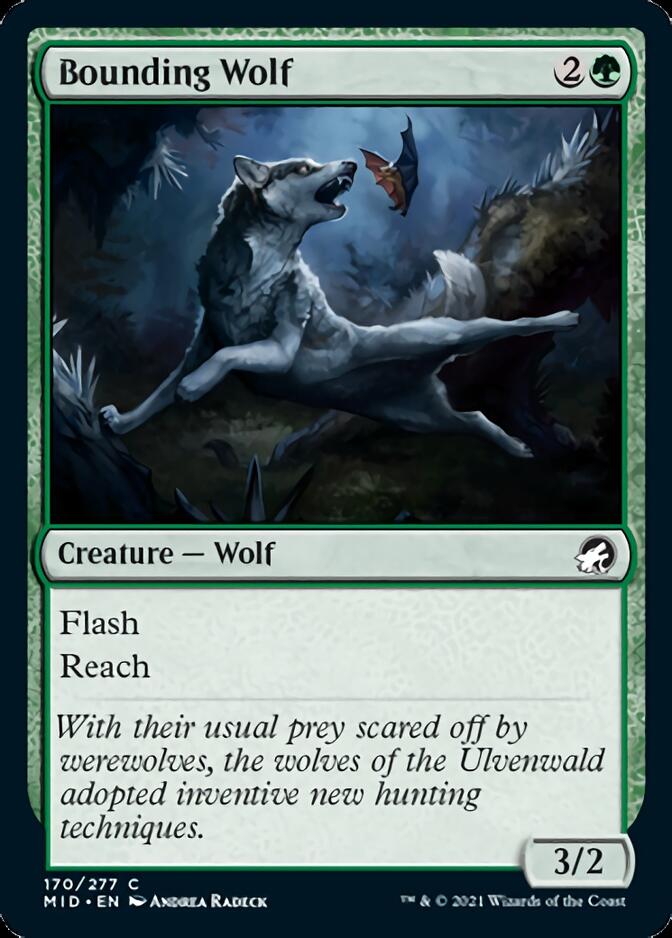 Bounding Wolf [Innistrad: Midnight Hunt] | KingTCG.ca