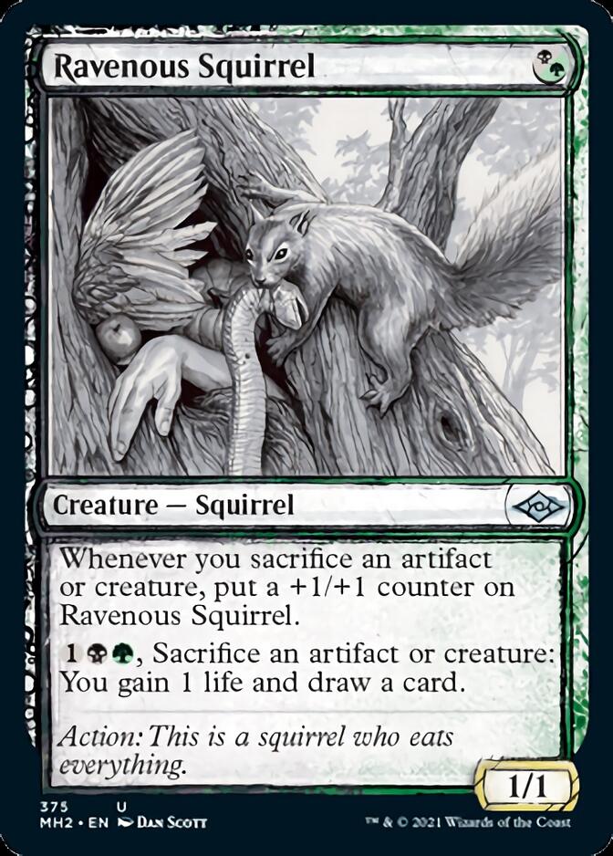 Ravenous Squirrel (Sketch) [Modern Horizons 2] | KingTCG.ca