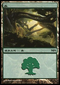 Forest - Zendikar Cycle [Magic Premiere Shop] | KingTCG.ca