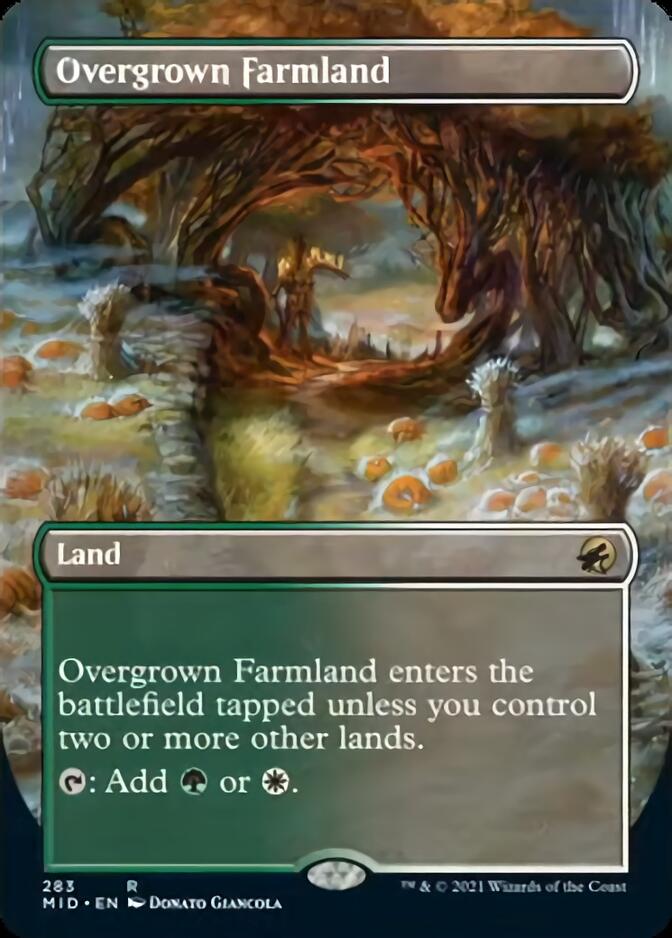 Overgrown Farmland (Borderless) [Innistrad: Midnight Hunt] | KingTCG.ca