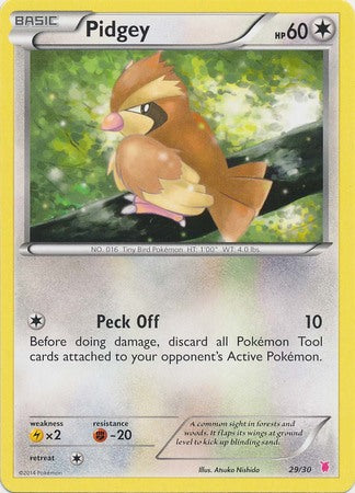 Pidgey (29/30) [XY: Trainer Kit - Bisharp & Wigglytuff] | KingTCG.ca