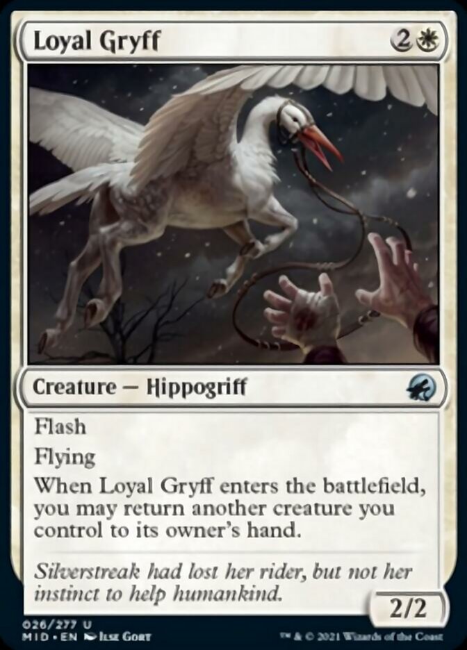 Loyal Gryff [Innistrad: Midnight Hunt] | KingTCG.ca