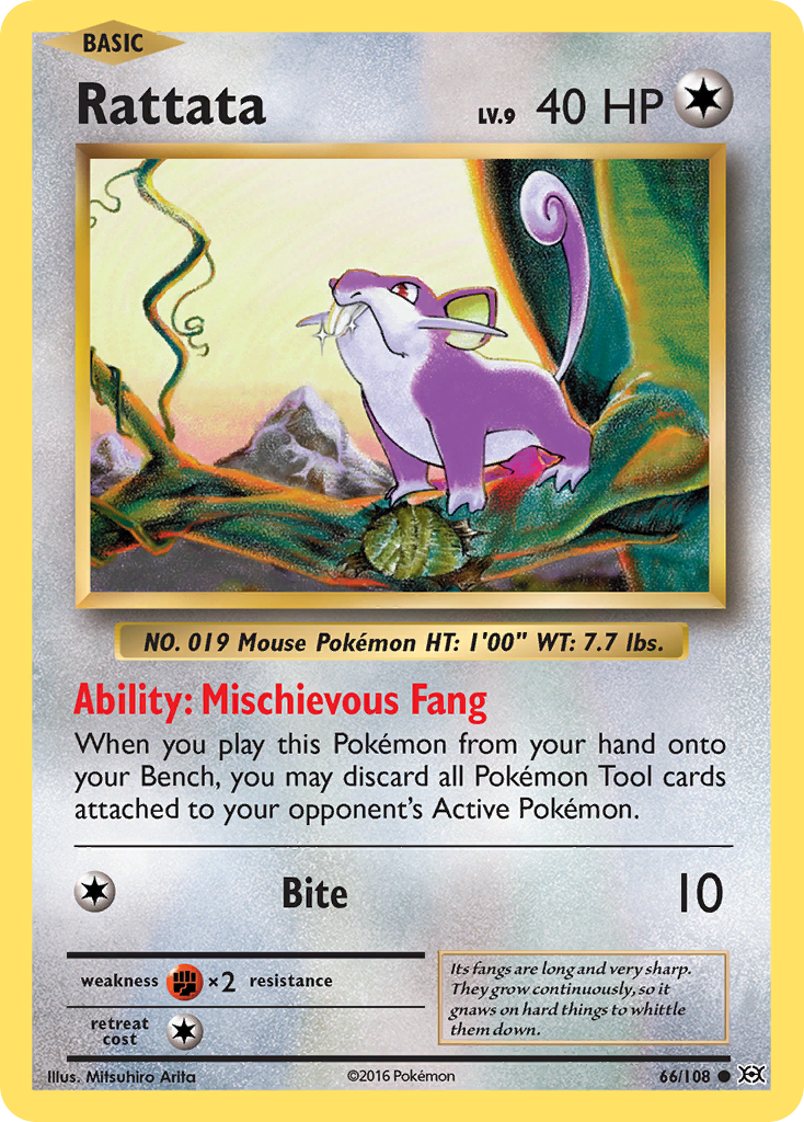 Rattata (66/108) [XY: Evolutions] | KingTCG.ca