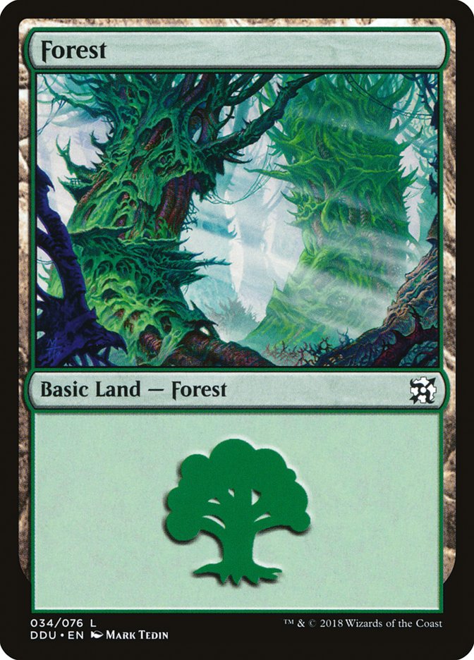 Forest [Duel Decks: Elves vs. Inventors] | KingTCG.ca