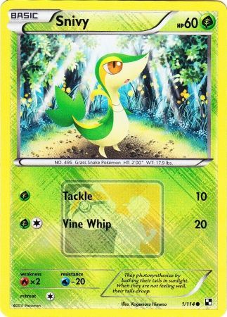 Snivy (1/114) (League Promo) [Black & White: Base Set] | KingTCG.ca